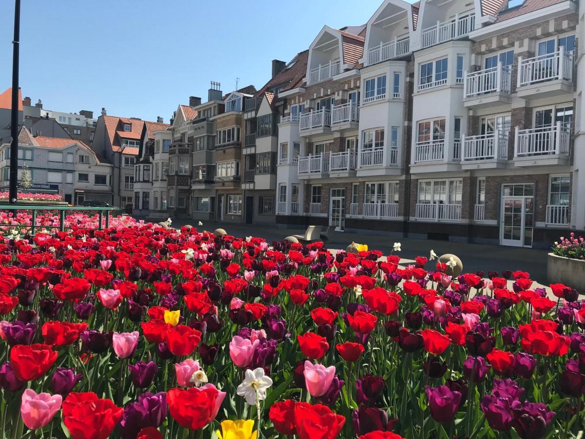 Appartement Giulia Knokke-Heist Exteriér fotografie